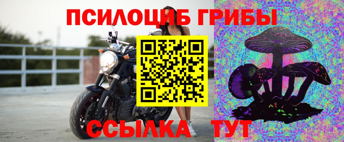 Псилоцибиновые грибы мицелий Всеволожск