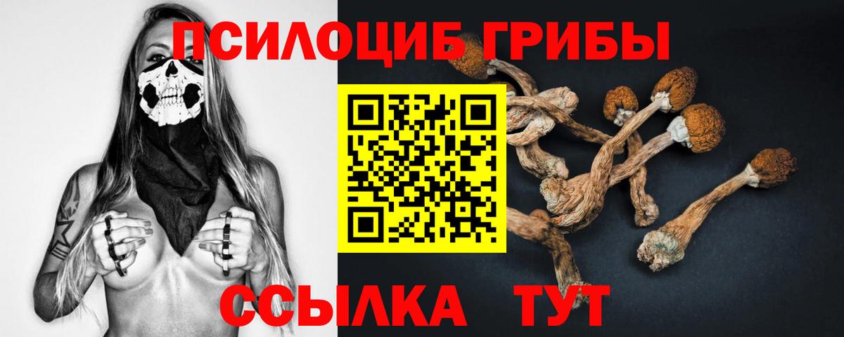 Всеволожск  Галлюциногенные грибы Psilocybe  Вход с VPN  Псилоцибиновые грибы ЛСД 